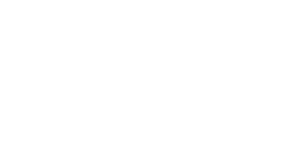BWHI Logo White